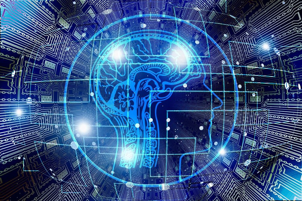Strategies for Tech Executives Navigating the AI Revolution