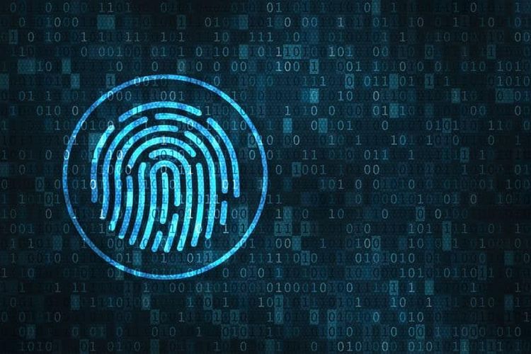 Web3 Identity: The Future of Decentralized Identity Management